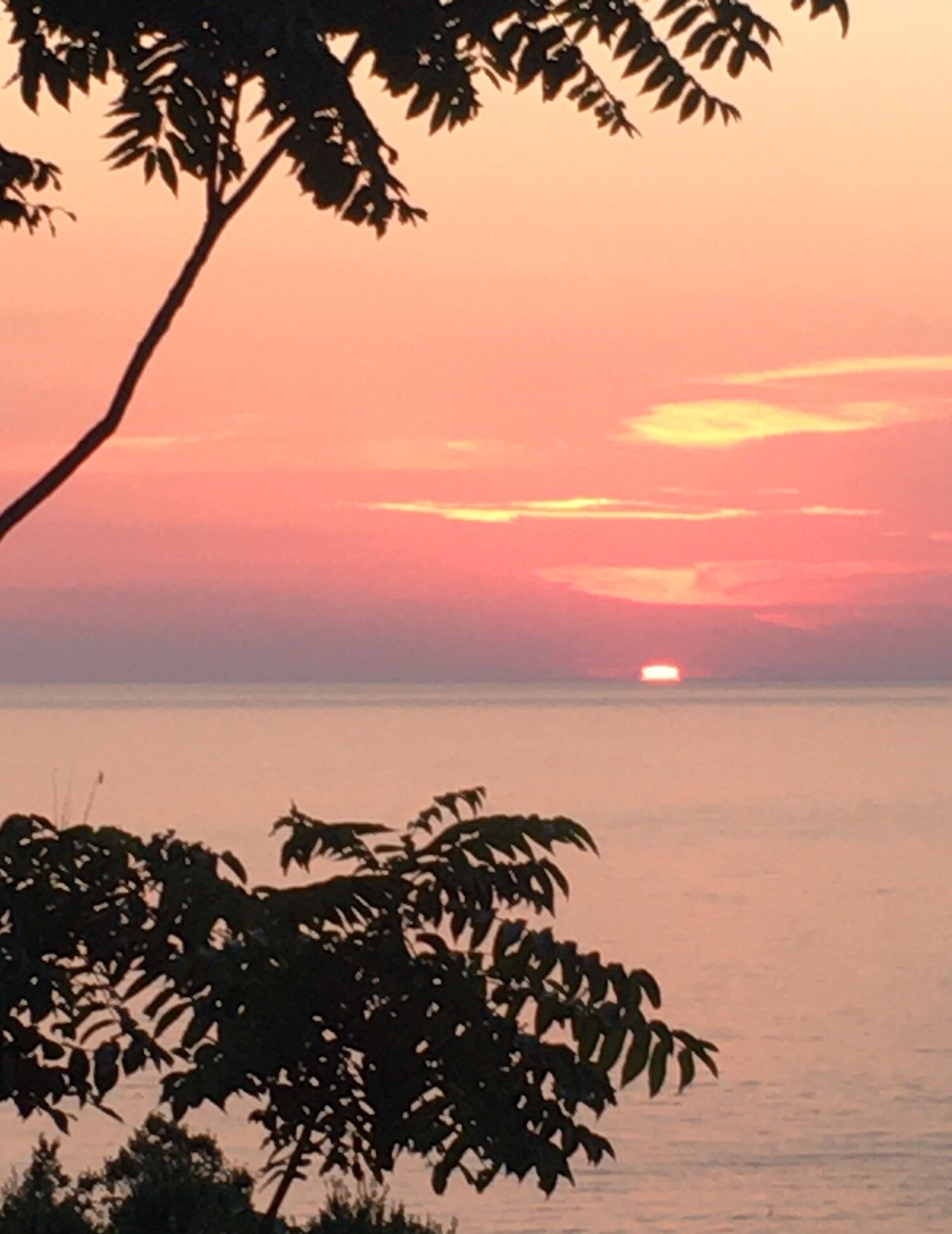 C’era una volta il festival Arteinvivo a San Lucido dal 24 al 29 Luglio 2023 C’era una volta il festival Arteinvivo a San Lucido dal 24 al 29 Luglio 2023