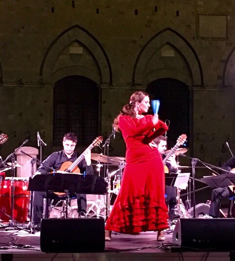 flamencosienapiazzadelcampo flamencosienapiazzadelcampo
