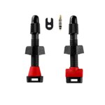 2-valvole-tubeless-carbonio-carbonaria