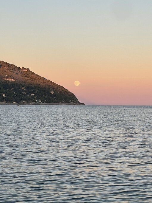 photo_2026-01-08 17.03.39.jpeg