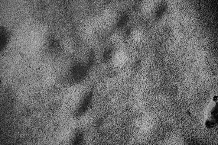 2c6d2d33-fa83-432c-b264-d9e1581a7054.jpeg