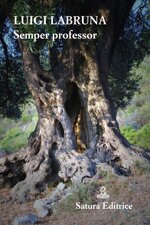 semper-professor