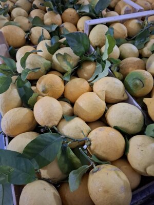 Cassetta di limoni zagara bianca biologici siciliani freschi - Bonomo
