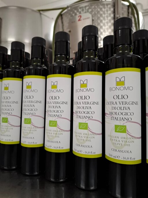 whatsapp image 2026-01-22 at 19.22.48.jpeg