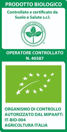 868b2317-8b58-4a6e-a1dc-f88c9751b147.jpeg 868b2317-8b58-4a6e-a1dc-f88c9751b147.jpeg