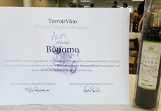 L&rsquo;olio siciliano da Cerasuola Bonomo eletto miglior olio TerrorVino 2014