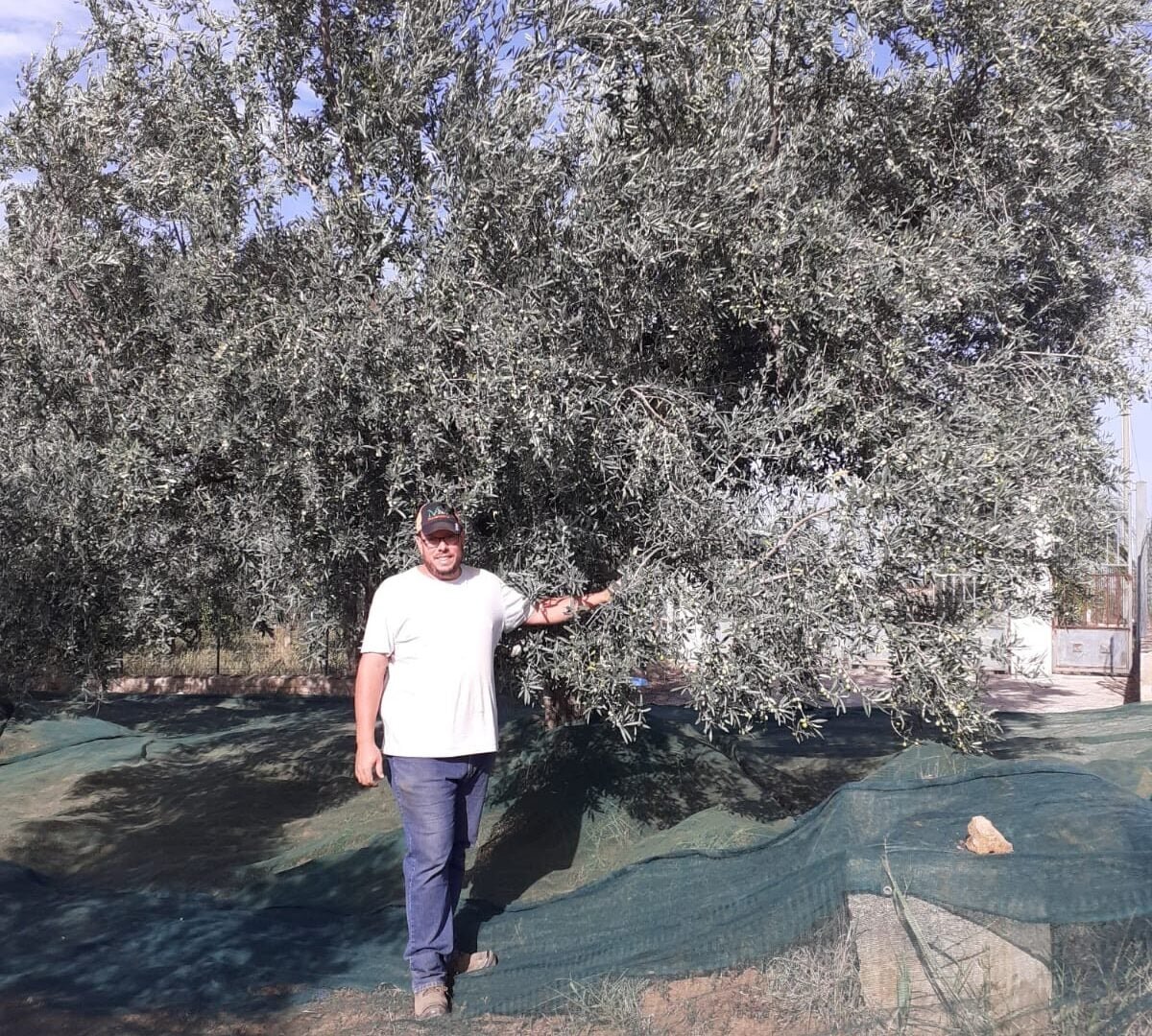 La nostra Cerasuola Bio è Olio della Settimana di Cronachedigusto.it