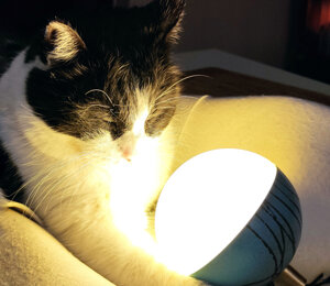 Lampada,ricaricabile,portatile,senzafili,tealight,led,candela,lampade,design,ecodesign,green