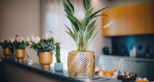 1m4a1788-edit.jpeg 1m4a1788-edit.jpeg