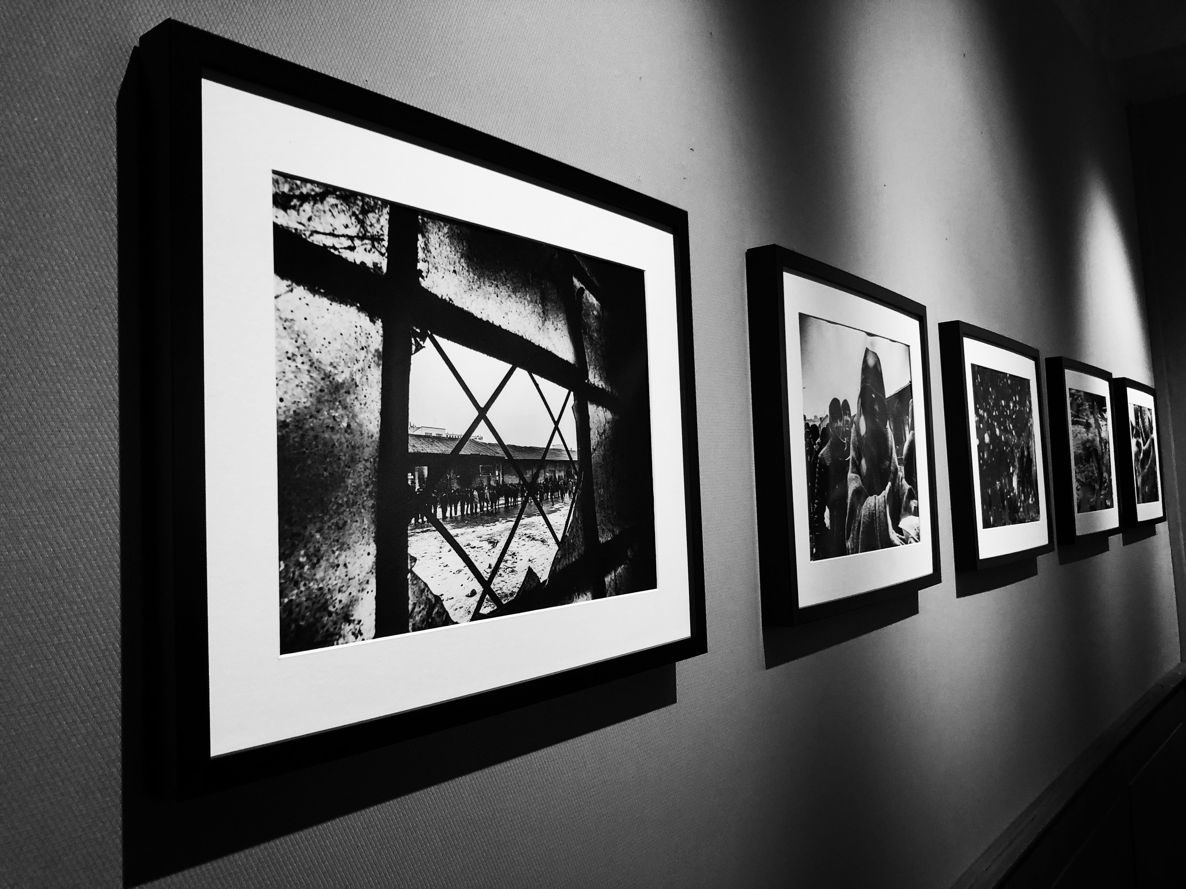 7920676a-b6e2-4f4c-95b3-57cfe3c611a8.jpg 7920676a-b6e2-4f4c-95b3-57cfe3c611a8.jpg