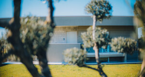 1m4a1786.jpeg 1m4a1786.jpeg