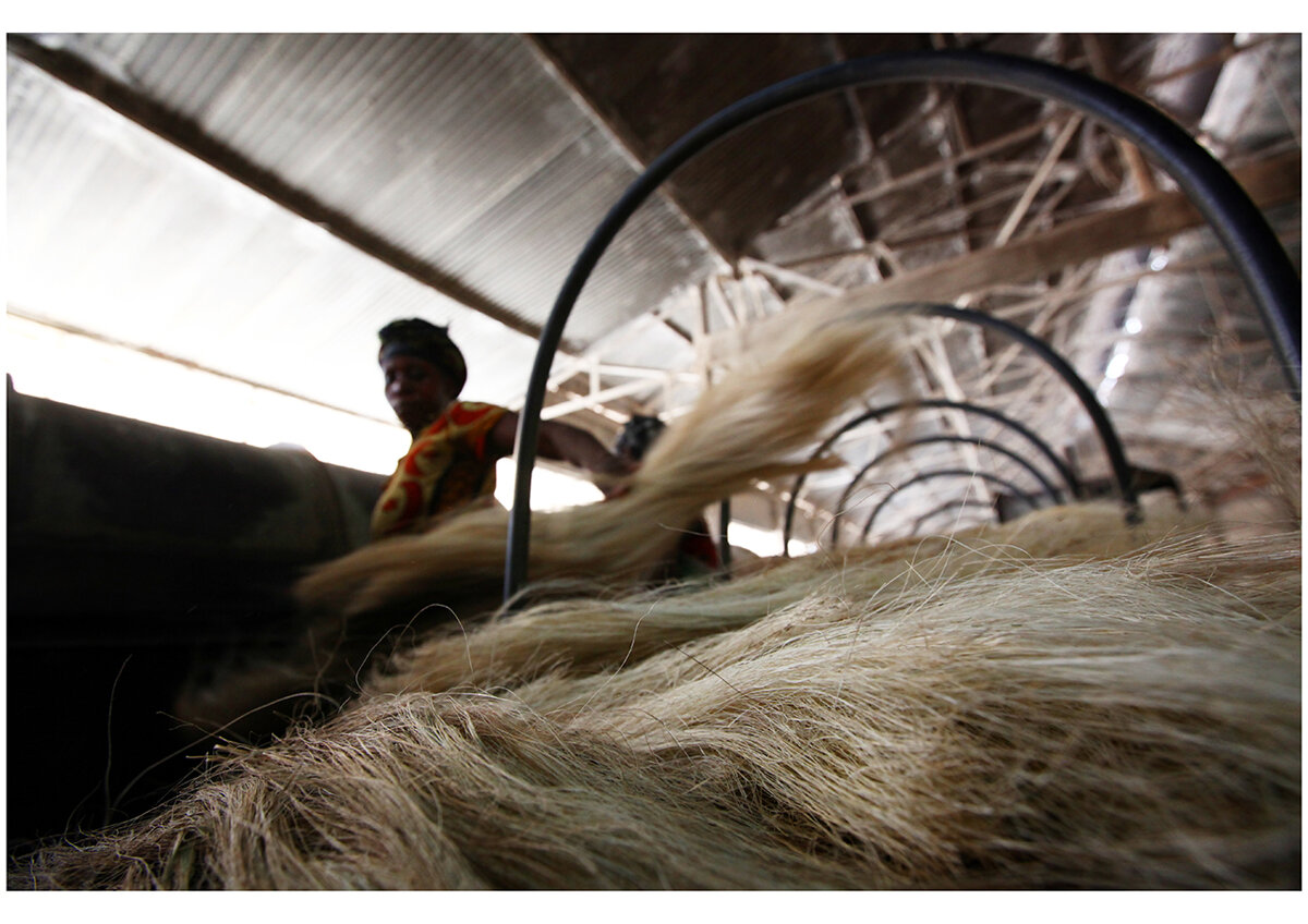 19img_9633 19img_9633