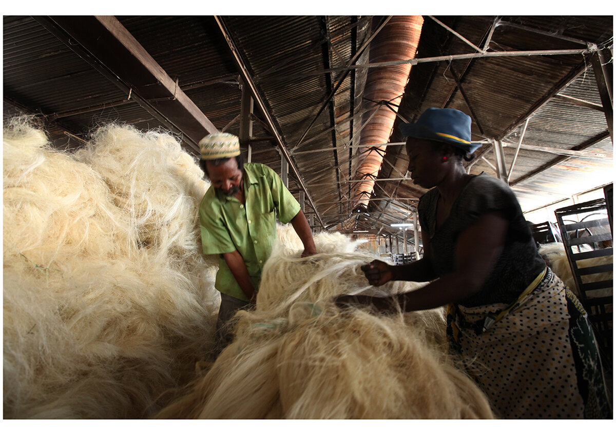 21img_9596 21img_9596