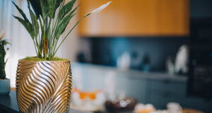 1m4a1757.jpeg 1m4a1757.jpeg