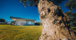 1m4a1793.jpeg 1m4a1793.jpeg