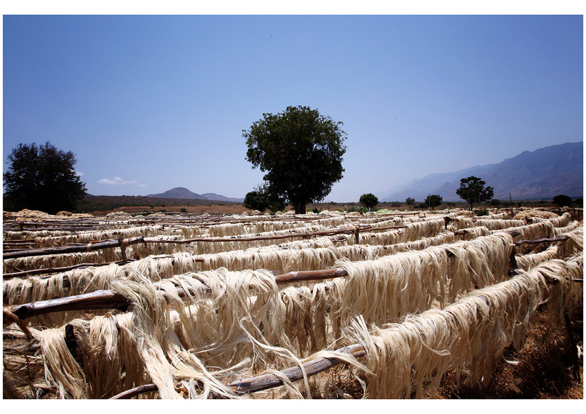 14img_8883 14img_8883