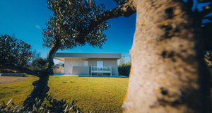 1m4a1845.jpeg 1m4a1845.jpeg