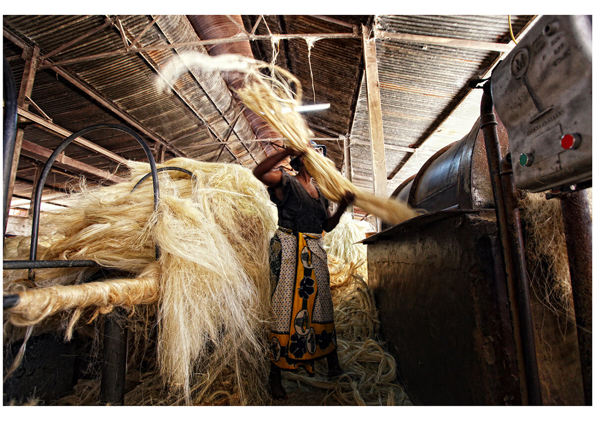 18img_9071 18img_9071