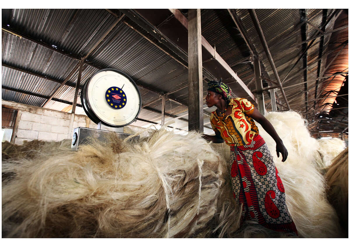 22img_9555 22img_9555