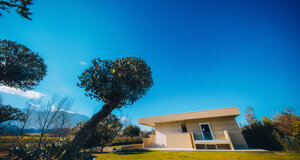 1m4a1392.jpeg 1m4a1392.jpeg