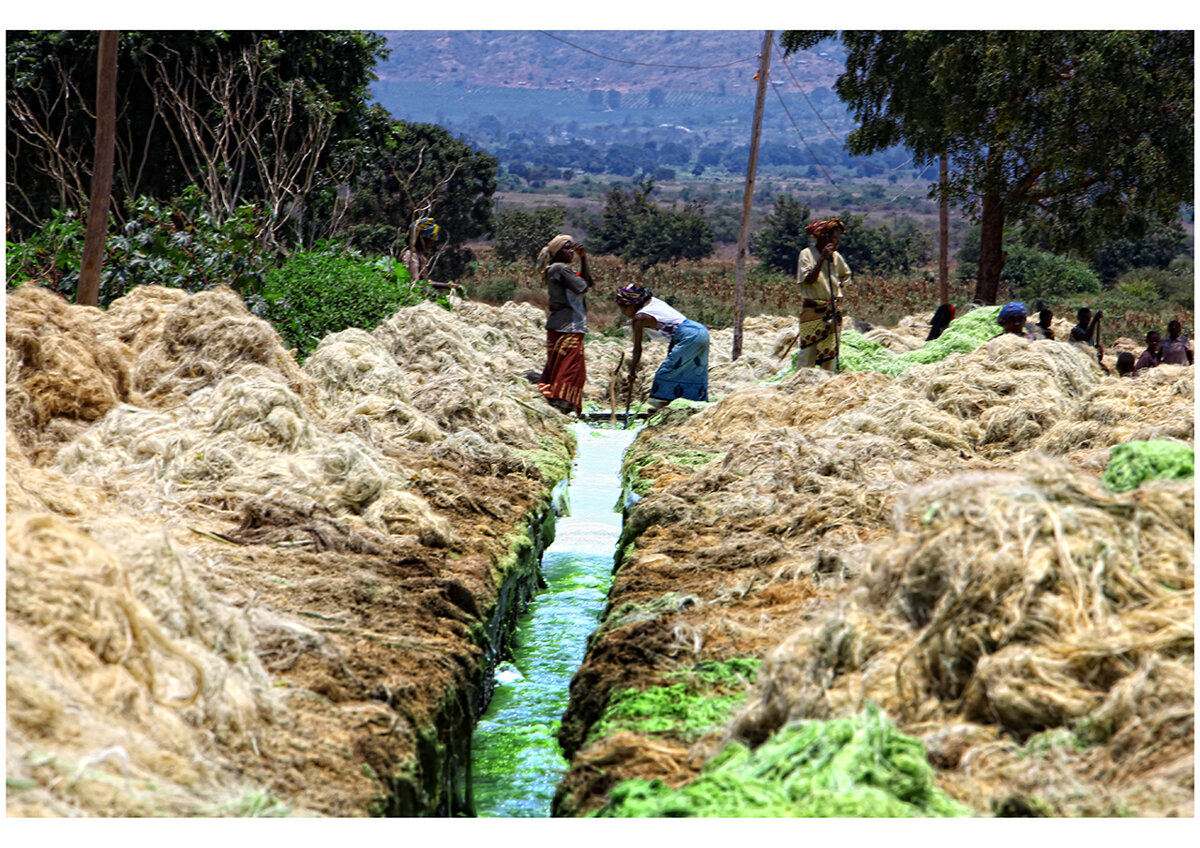 10img_6085 10img_6085