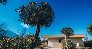 1m4a1396.jpeg 1m4a1396.jpeg