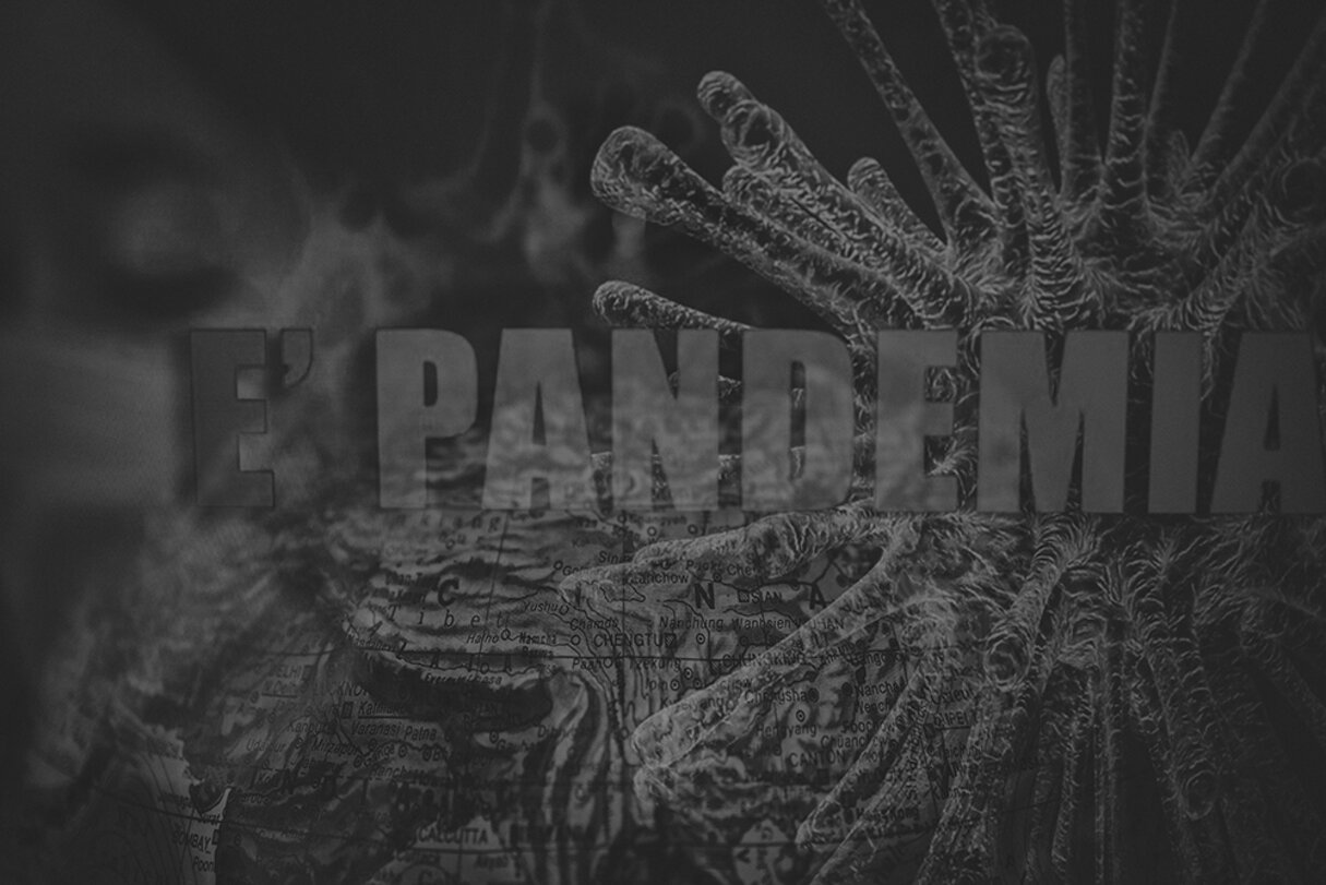 d80a2bfa-2441-4dab-87d1-92d4c6431feb