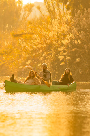 9a6845af-88d8-40d7-ba1b-a6b4ba0704c9