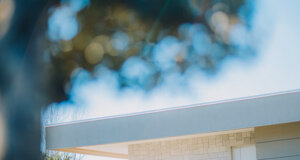 1m4a1755.jpeg 1m4a1755.jpeg