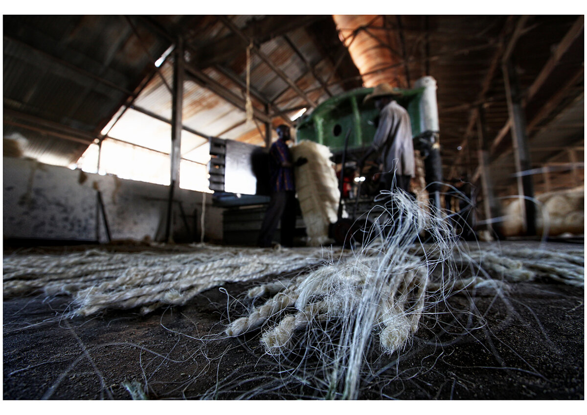 26img_9337 26img_9337