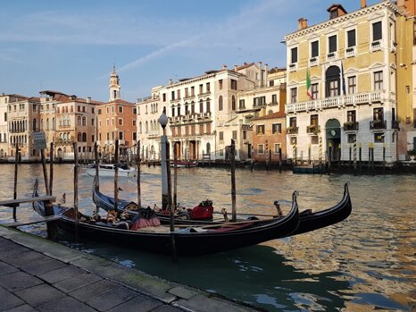 ba345bf2-540d-4fe6-bdb3-80852a61b6b6 ba345bf2-540d-4fe6-bdb3-80852a61b6b6