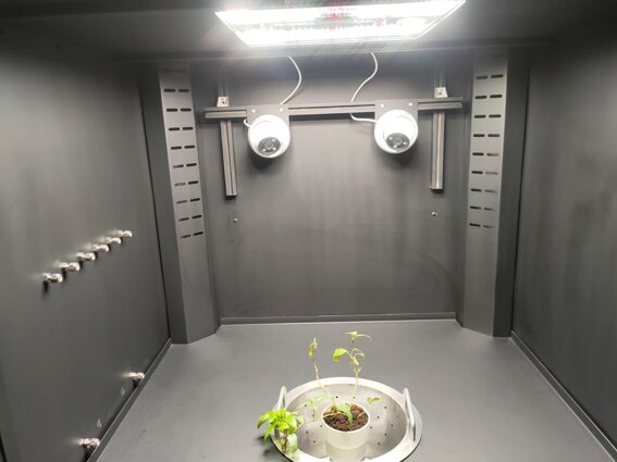 3131d283-e866-46ed-9c3f-4255ddcef28d 3131d283-e866-46ed-9c3f-4255ddcef28d