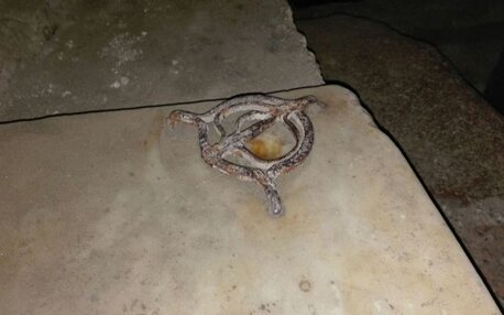 74aaef7d-c2a6-410d-b4d8-7fd97b0fec0c