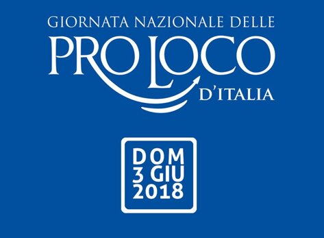 8b2ca7f0-2d55-4711-8b1f-482575045d2c