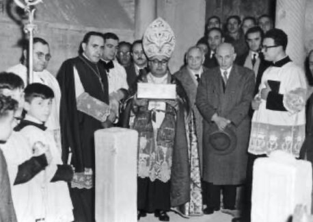 1d03c9b7-9aba-4801-8a3f-6490b71f5dd9