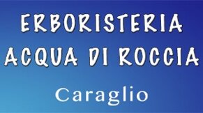 48c7001e-2d59-4a32-852f-838600f60fcf