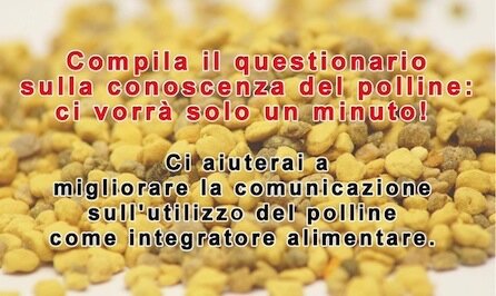 questionariopolline_1