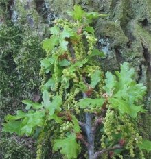 16e325c8-1dc6-45ba-b025-b8aebd1c8684