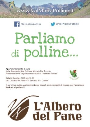 8db18713-f035-400b-9883-52a5c517049e