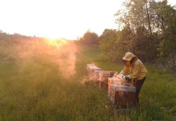 6de3d143-d741-40e8-ba31-17b3146c3239