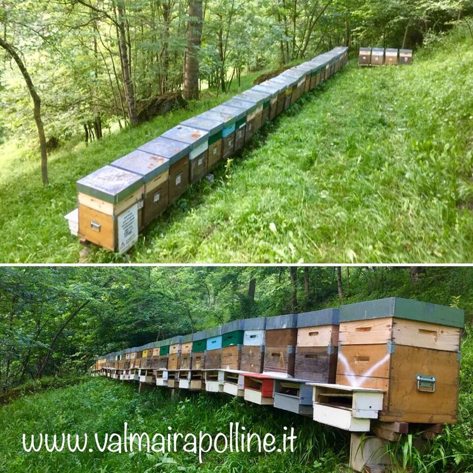 2f30a813-b152-4433-9215-8f0c1e87a9d4