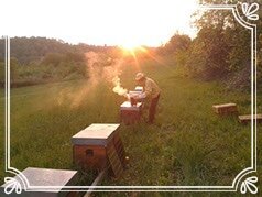 58ea91c1-11d3-4d93-ab26-55dc64a2aad7