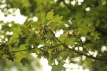 193b197b-4696-4fe5-9b50-e95ae47136a6