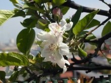 e7ba9094-a21d-46f5-a070-ceeccc64c23c