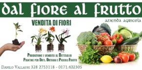 ff9637fd-9861-4037-85dc-9717b59d4d16