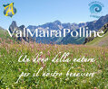 valmairapolline_logo