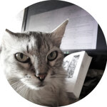 36592961-63b3-4bd4-8cbc-212c40450d95 36592961-63b3-4bd4-8cbc-212c40450d95