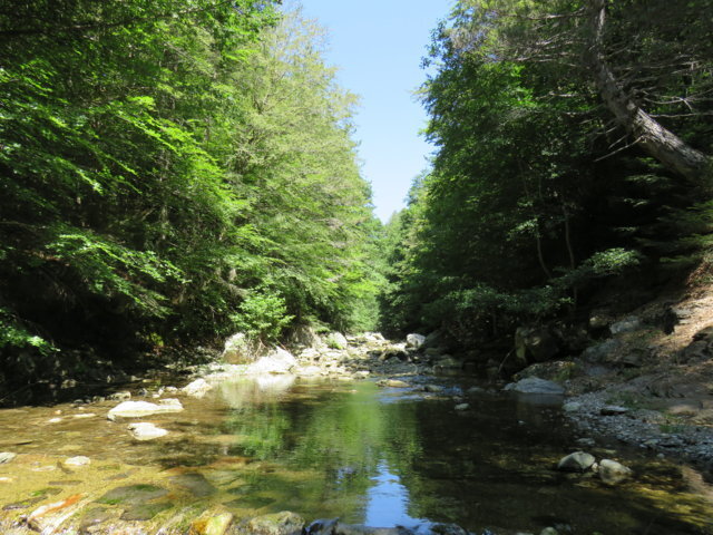 aspromonte.jpg