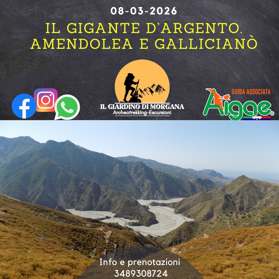 Il Gigante d'argento. Amendolea e Gallician&ograve;