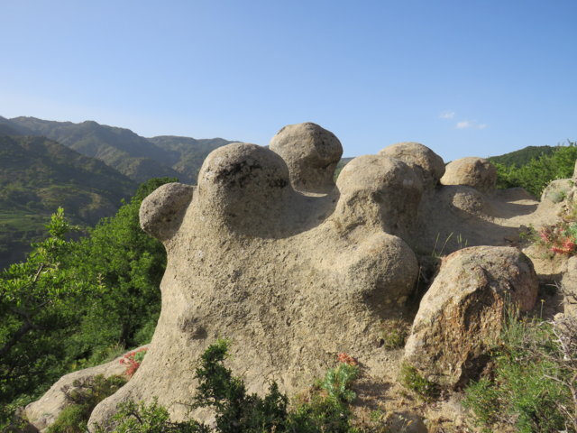 ea92c2ab-0b0e-4282-9642-8010fc7205fa.jpg ea92c2ab-0b0e-4282-9642-8010fc7205fa.jpg